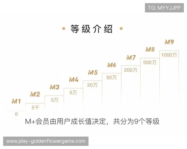 会员体系引入分层权益设计,用户忠诚度指标持续向好